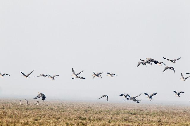 八百里洞庭湖!，八百里洞庭湖的由来（八百里洞庭）
