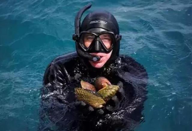 20种鲍鱼种类，世界鲍鱼品种大全