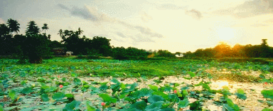 天敌电视剧演员表，天敌电视剧剧情介绍（为拍此片导演被封杀）