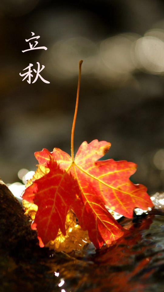 2021年立秋的具体时间 年8月7日14点37分，2021年立秋的具体时间（今天2021年8月7号）