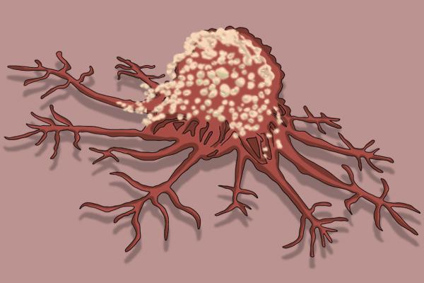 游泳的好处与坏处是什么，游泳的好处是啥（作为一项得到医学界认可的运动）