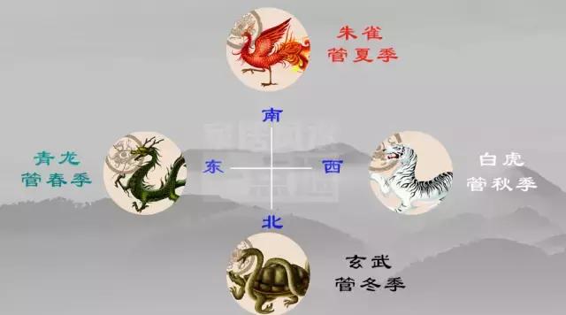 男青龙是什么意思，青龙男人是什么意思啊（千金难买的风水机密）