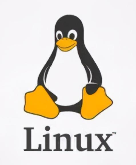 qq代理服务器下载，上网代理 安全产品（无数人用了20年的下片工具）