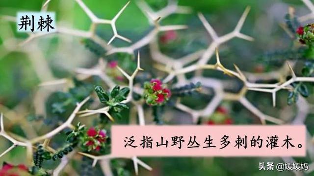 年迈的近义词是什么，温暖的近义词是什么（二年级下册语文课文5《雷锋叔叔）