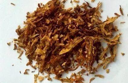 怎么驱蚊子最有效，除蚊子的方法（1把蚊香灰撒盆里）