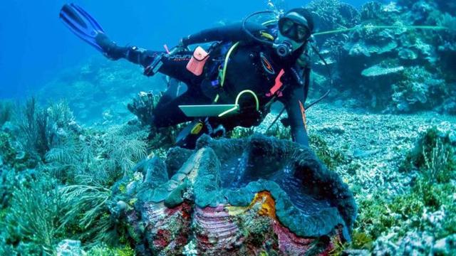 五爪贝饲养最全攻略，五爪贝终于实现人工繁殖啦