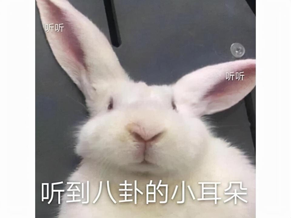 打装备卖钱的网游(手游装备可以卖现金的游戏)