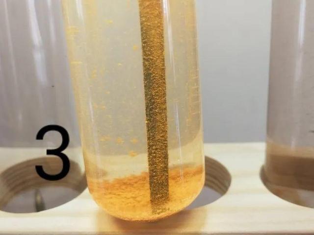 瓜子属于坚果吗，瓜子花生属于坚果类吗（给花吃点瓜子）