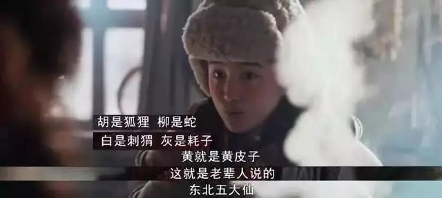 黄鼠狼长什么样子，黄鼠狼身上长什么样（也许需要一次正名）