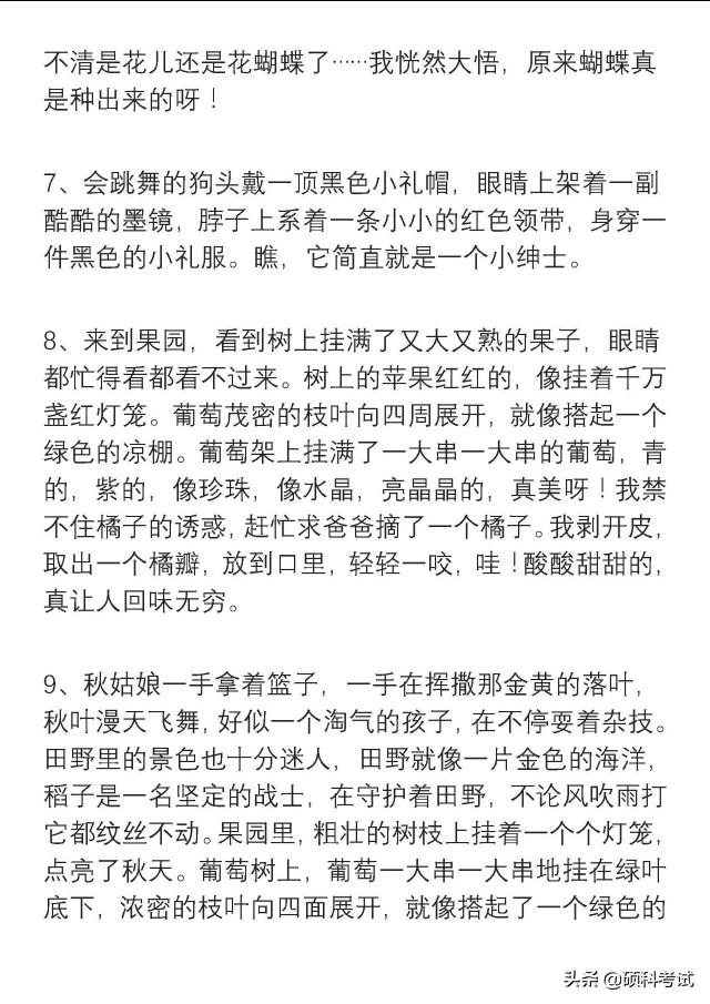 二年级好句大全，二年级好词好句积累（小学语文二年级好词好句积累）