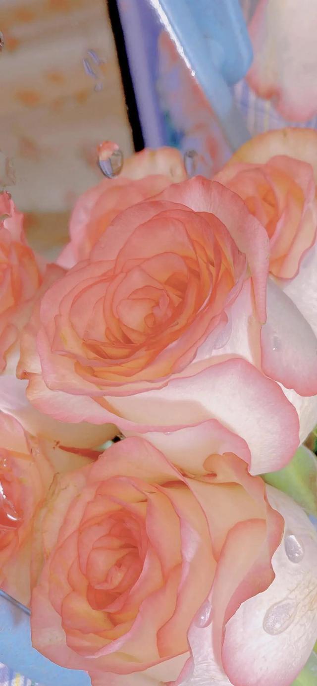 少女心粉色壁纸,少女心粉色壁纸可爱(粉色系少女心壁纸,辣妹也喜欢