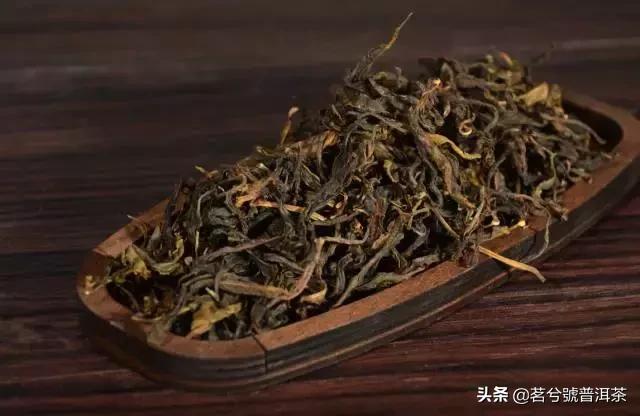 白莺山黑条子是什么类茶，白莺红是什么茶（普洱茶的收藏与价值之名山茶临沧茶区—白莺山）