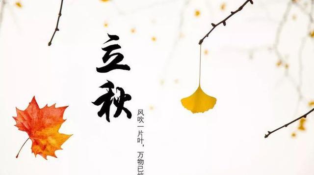 如何将蔬菜晒成干菜，把5款蔬菜晒成干