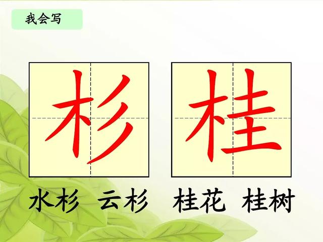 汉字松的组词，松的组词（部编版二年级语文上册识字2《树》知识点+图文解读）