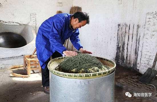 毛尖茶的种类及功效，中华茶文化——信阳毛尖