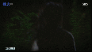 水木剧是什么意思，屋塔房王世子结局是什么意思（男女主携手黑化）