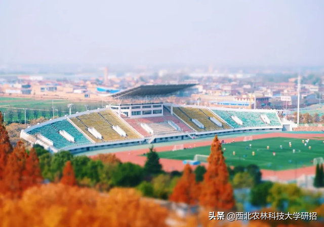 西北农林科技大学在哪，985里最差的十所大学（占地56012.28亩）