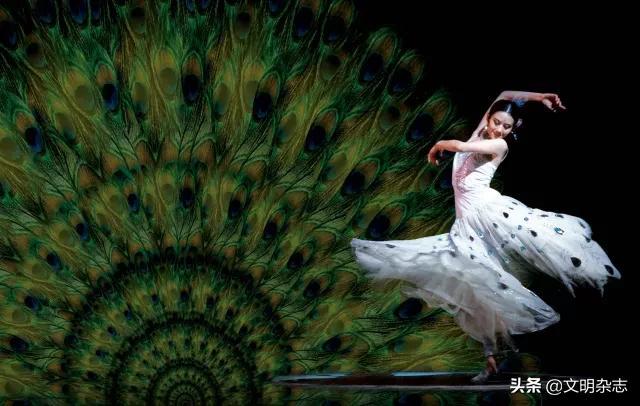 傣族三道弯是指什么,傣族三道弯是指什么动物(孔雀故里傣舞蹁跹) 傣族三道弯是指什么,傣族三道弯是指什么动物(孔雀故里傣舞蹁跹)