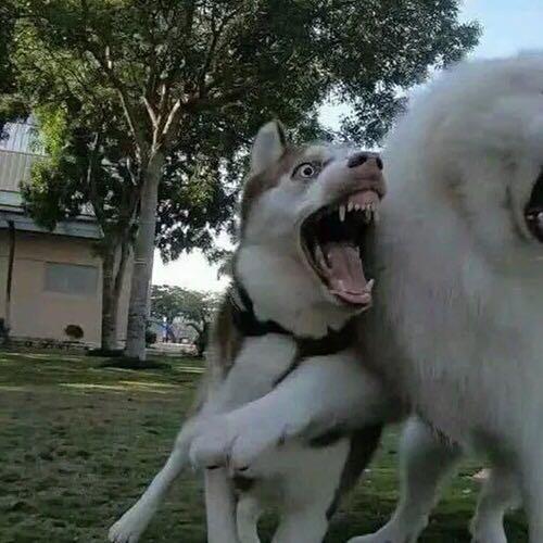 浅心：从前初识这世间 万般留恋，从前初识这世间下一句微信（情侣头像l你出现以后）