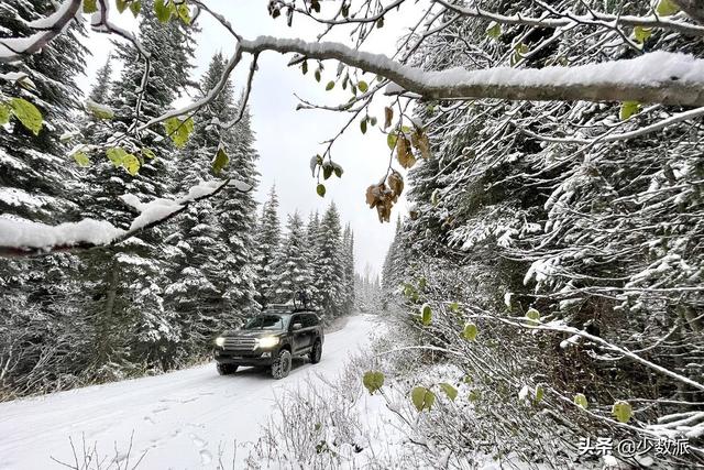 苹果12pro防水吗，苹果12pro防水到什么程度（让专业摄影师满意的升级）