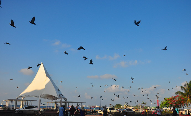 马尔代夫旅游要多少钱，2021年春节能去马尔代夫吗（能不能去马尔代夫自由旅行）