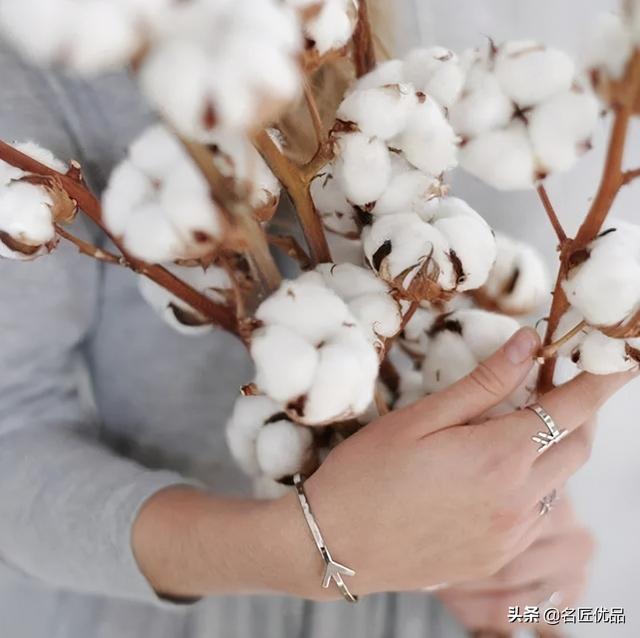 棉花花语和寓意是什么，棉花花语（花店老板娘手中的棉花）
