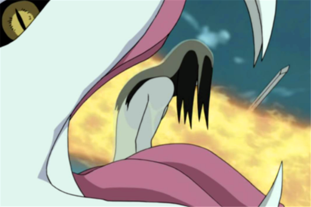 纲手怎么死的在第几集，纲手死在多少集（为什么纲手和大蛇丸没事自来也却死了）