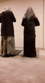 面包会有的是什么意思，面包会有的面包指的是什么意思（男友发了张空心的面包）