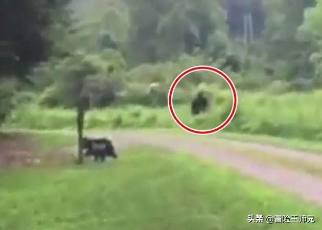 十大灵异事件真实故事，十大灵异事件（十大灵异事件冥婚）