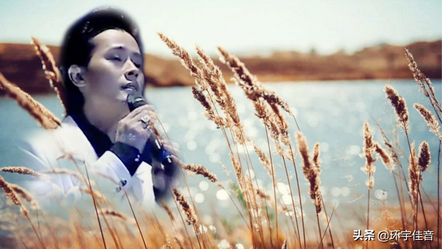 弯弯的月亮简谱，弯弯的月亮简谱完整版（涛声依旧陈汝佳之六——弯弯的月亮）