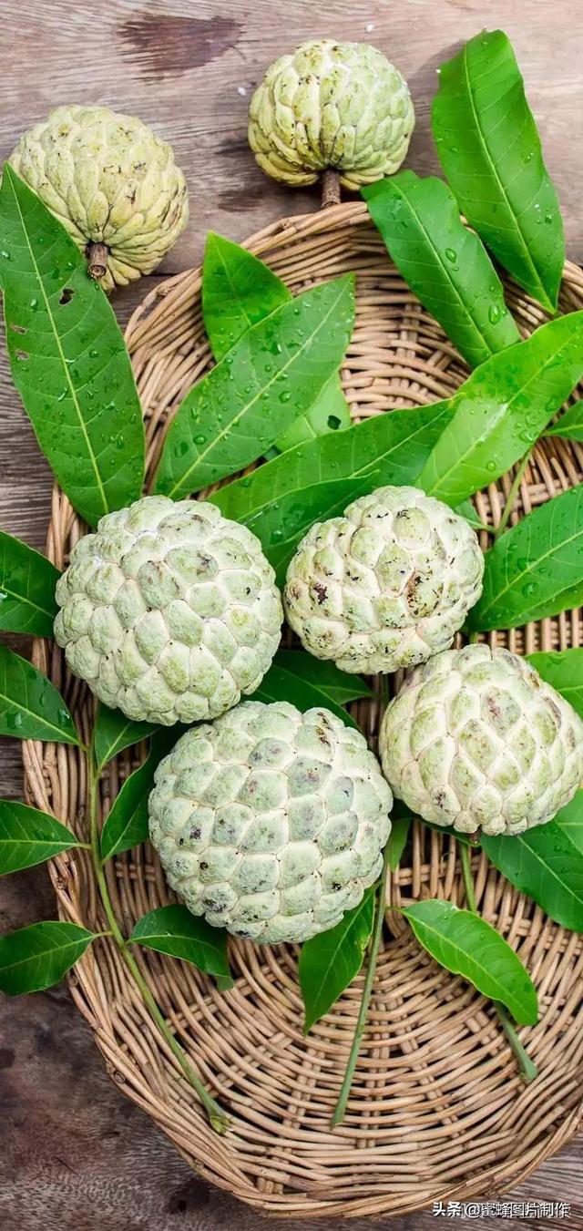 呼伦贝尔大草原图片，内蒙古呼伦贝尔草原最美景色（壁纸美图，呼伦贝尔大草原风光）