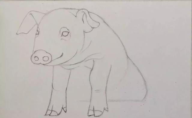 猪头简笔画怎么画，让我们一起学一下小猪简笔画吧