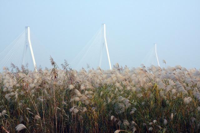 八百里洞庭湖!，八百里洞庭湖的由来（八百里洞庭）