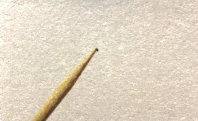 地不容的繁殖方法，地不容的繁殖栽培（试试哪一种方法更容易成功栽种在阳台上）