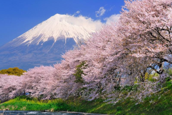 富士山是私人的吗？日本最牛的房东，富士山是人家的