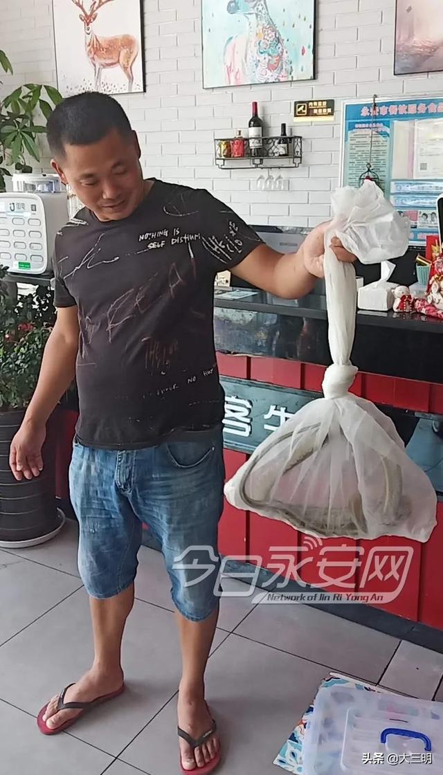 蛇的形态特征和生活习性，蛇的形态特点（永安人，蛇出没）