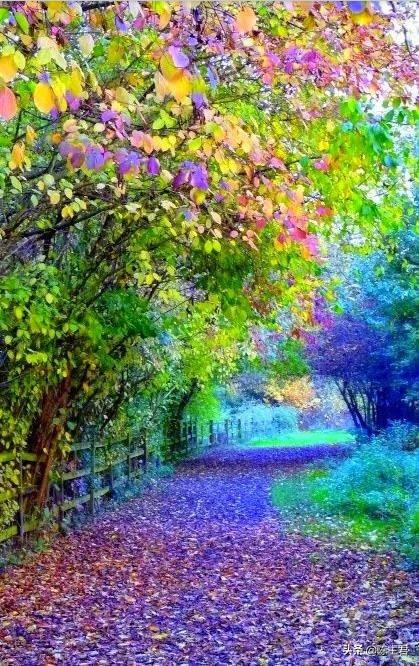 内蒙古人所说的风季是哪个季节，蒙古人的风季是什么季节（中国历史地理常识大全）