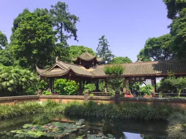 峨眉山海拔多少米，四姑娘山海拔多少米（游峨眉山4大误区，你中了几个）