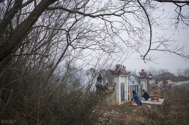 刺猬是什么仙，仙家刺猬是什么仙（农村俗语“坟无头）