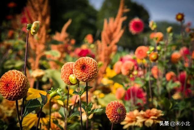 你嘴巴那么毒 心里一定特别苦，你嘴巴那么毒你男朋友有尿毒症吧（是一个人最大的恶意图片）