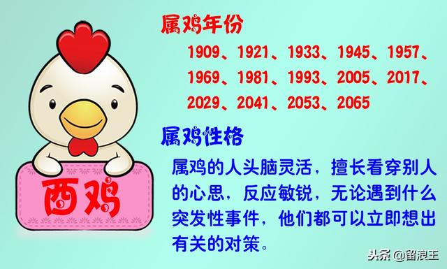 十二生肖与人生运势，十二生肖财富运势（十二生肖的性格及运势）