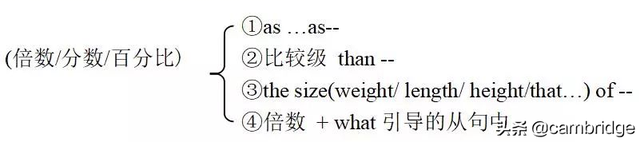 word如何加水印，怎样在word中添加水印（高考语法数词考点全角度复习）