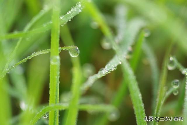 2022年有闰月吗闰几月 下个闰年是哪年，2022年有闰月吗闰几月（2022年收成好吗）