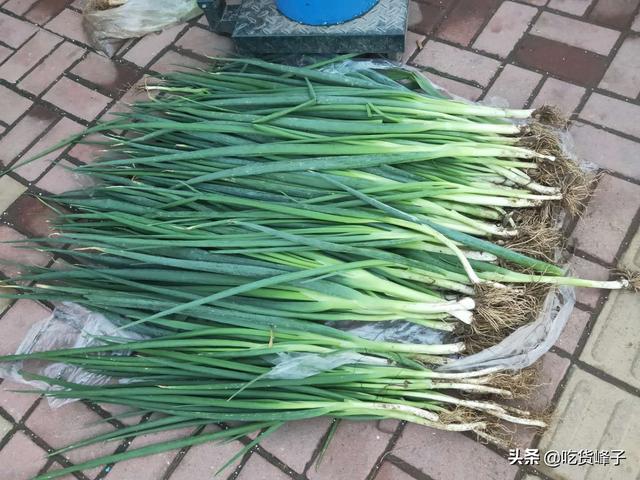 东北秋季怎样保存大葱，吃到明年春天不空不烂
