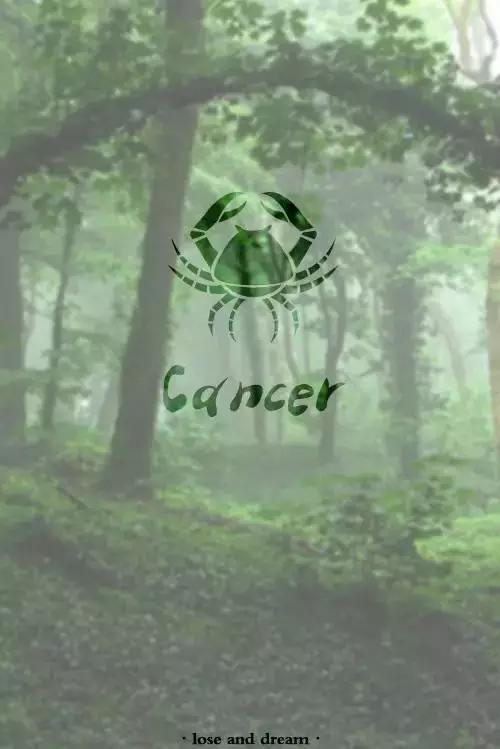 allen英文名什么意思，Allen英文名什么意思（你适合什么样的英文名）