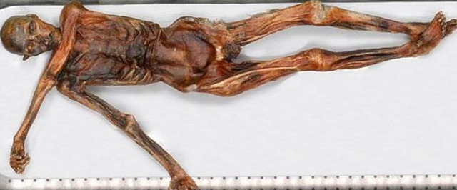 木乃伊是怎么形成的，木乃伊是怎么形成的图片（跟他有过接触的人都死了）