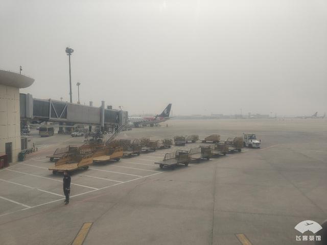 青岛航空怎么样，青岛航空属于廉航吗（初次体验青岛航空）