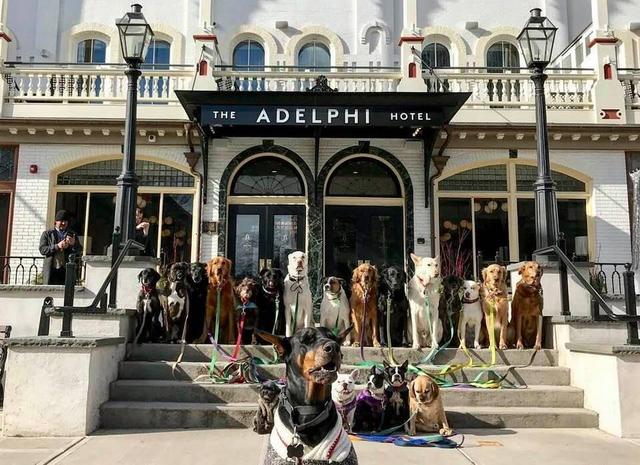 是不是只有同幂数才能相加减，不同幂的加减法怎么算（还能让它们集体看镜头进行拍照）