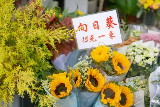 深圳哪里好玩又便宜，深圳哪里好玩又便宜的地方（《11月深圳打卡指南》来了）