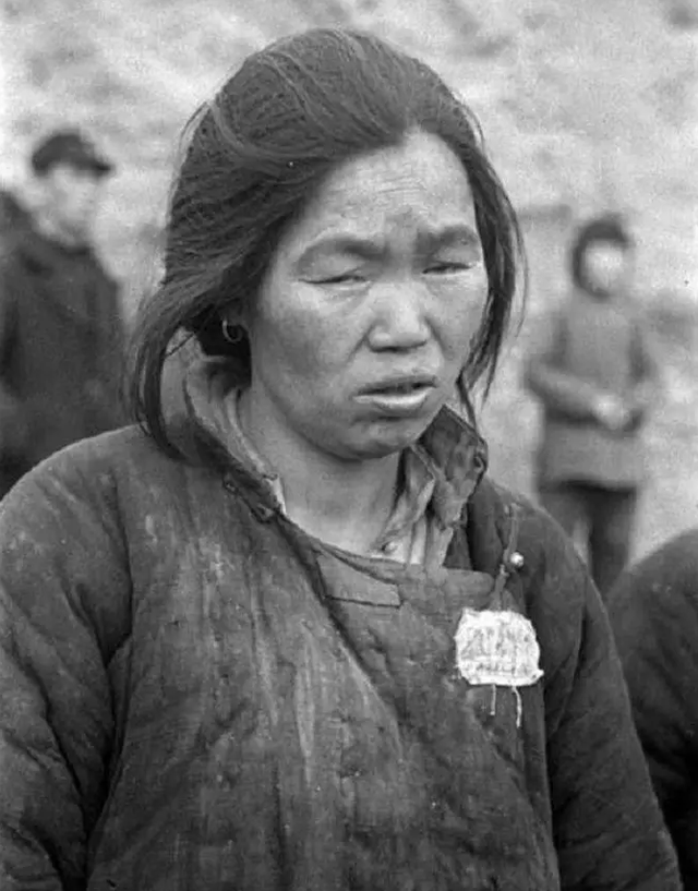 河南蝗灾发生在哪一年，河南蝗灾死了多少人（大饥荒中的汤恩伯到底有多狠）